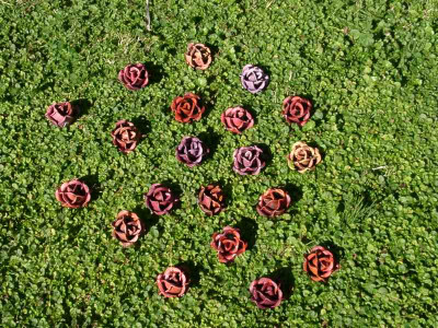 Κατασκευή της Γεωργίας Μπλιάτσου από τη συλλογή ΄Πορτρέτα Λουλουδιών΄