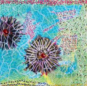 Πίνακας της Γεωργίας Μπλιάτσου από τη συλλογή ΄Αχινοί ΄