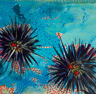 Πίνακας της Γεωργίας Μπλιάτσου από τη συλλογή ΄Αχινοί ΄